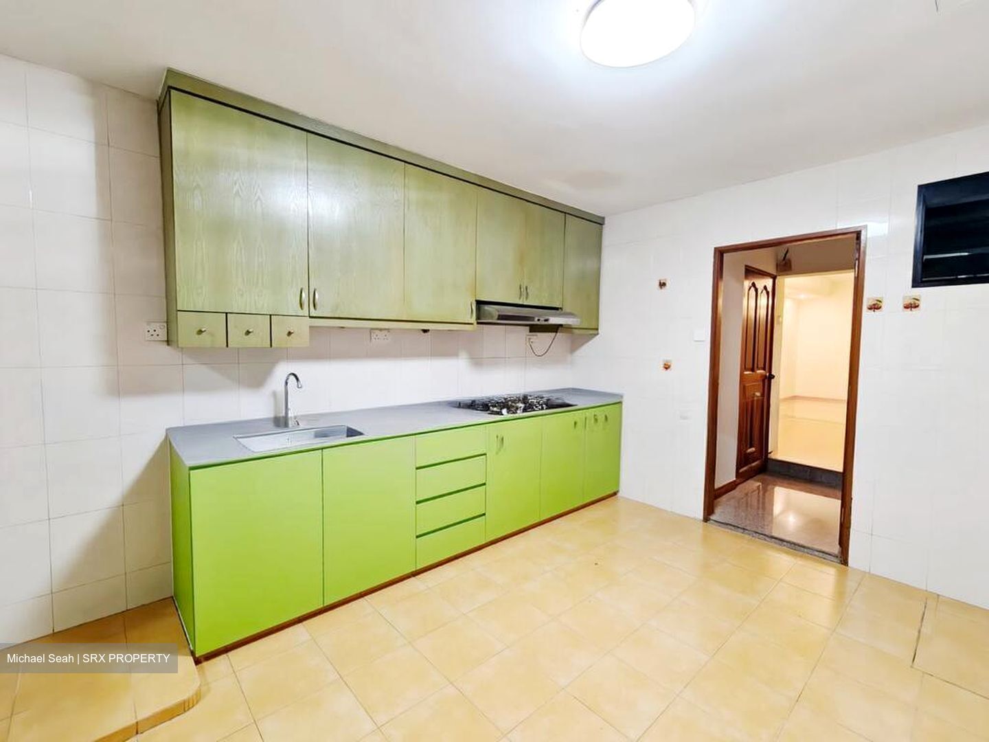 Serangoon Avenue 1 (D19), Semi-Detached #504669231